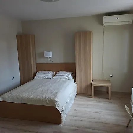 студиа студенец