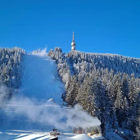 студиа студенец アパート