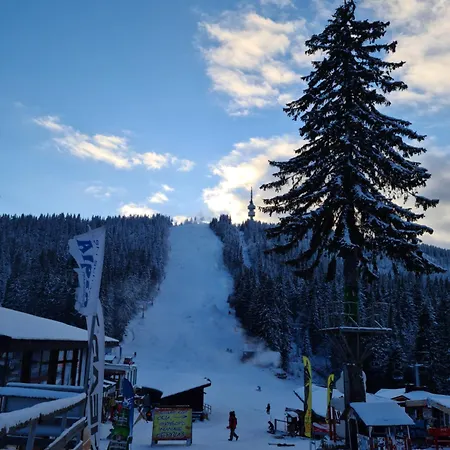 студиа студенец Apartament *