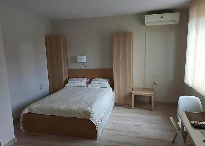 студиа студенец