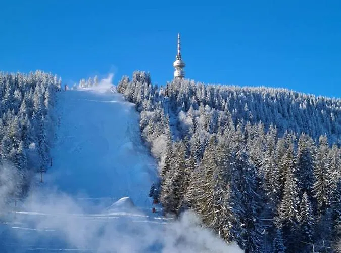 студиа студенец アパート