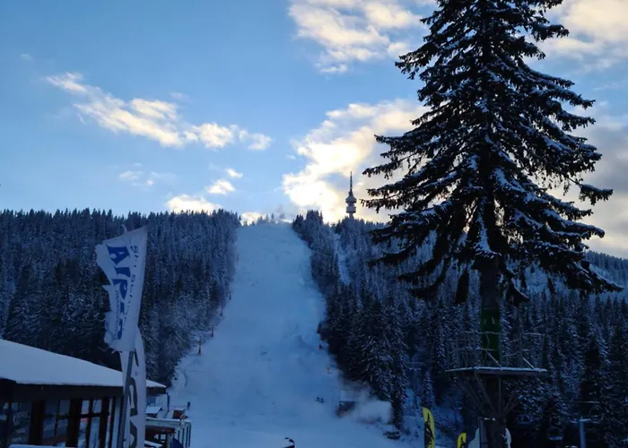 студиа студенец Apartament *