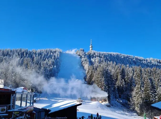 студиа студенец アパート スモーリャン